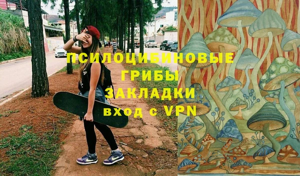 СК Михайловка